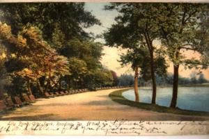 pre-1907 LILY POND AT CITY PARK Reading Pennsylvania PA postcard y4798