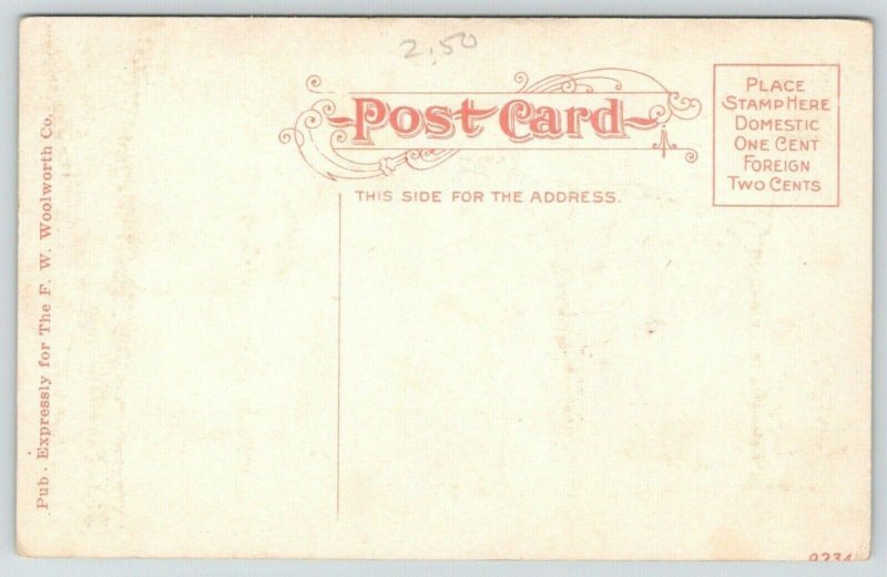 Topeka Kansas~Stormont Hospital~Lawn Shaded by Trees~House Behind~c1910