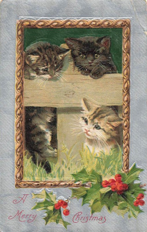 c1910 Cute Kittens Climbing Playing Christmas Germany P448 