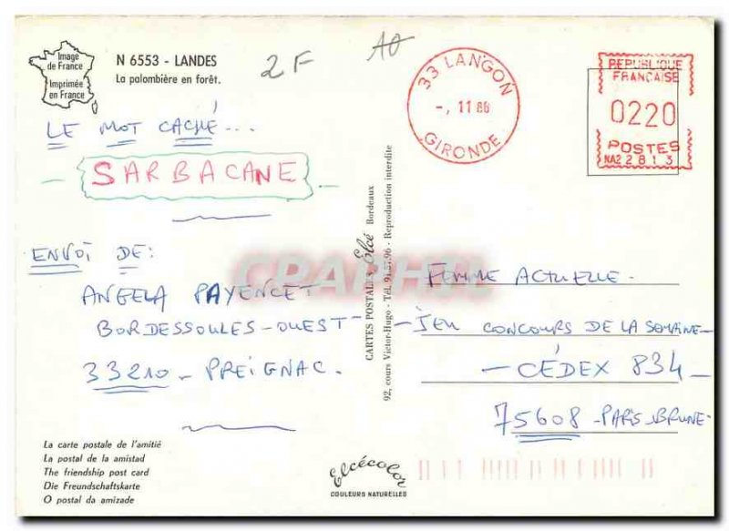 Modern Postcard The Landes forest in palombiere