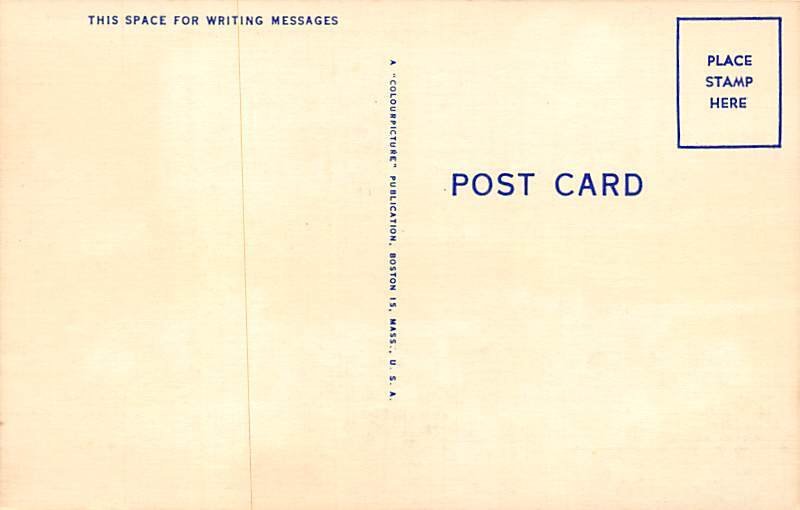 Hialeah Race Track Blanket Finish - Miami, Florida FL Postcard