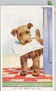 Florence Valter Artist Signed Cute Brown Dog Newspaper Puppy 2094 Postcard H54