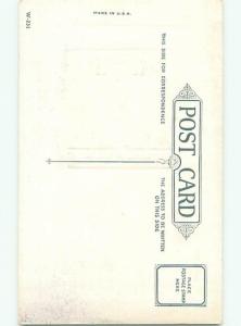 Divided-Back CHRISTMAS SCENE Great Postcard W9984