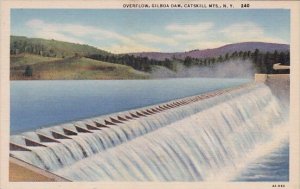 New York Catskill Mountains Overflow Gilboa Dam