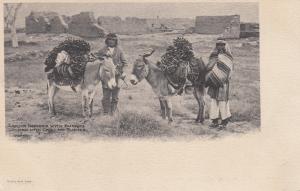 ZANDIA TRIBE IN MEXICO BURROS LOADED WITH CHILI PEPPERS PRE-1907 USED POSTCARD