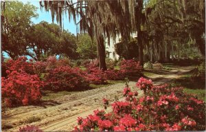 Postcard SC South Carolina Low-Country Old rice plantation of T.E. Hines