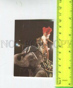 474449 USSR 1983 circus elephant trainer Dolores Zapashnaya old Pocket CALENDAR