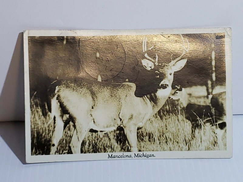 Vintage Postcard White Tail Buck Mancelona Michigan 1943 RPPC