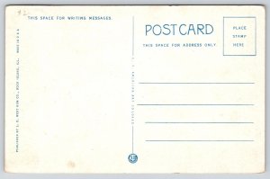 Ship~Mississippi River Excursion Steamer Capitol~Flags~Smoke~1920s Postcard