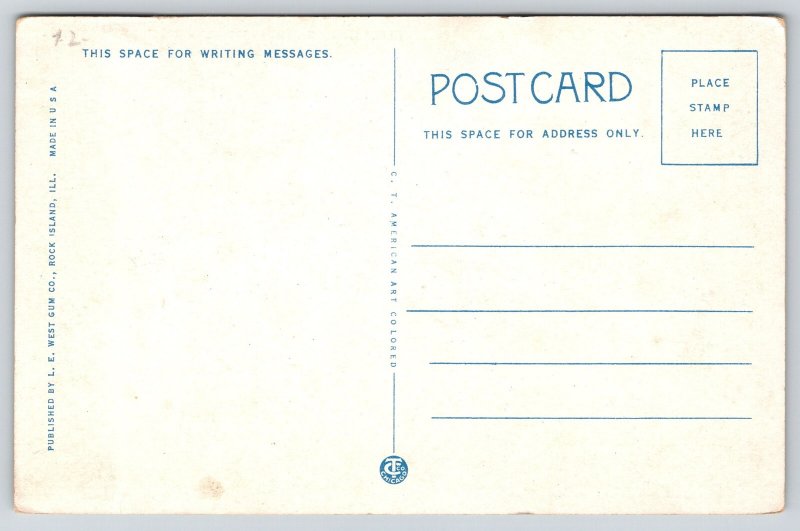 Ship~Mississippi River Excursion Steamer Capitol~Flags~Smoke~1920s Postcard