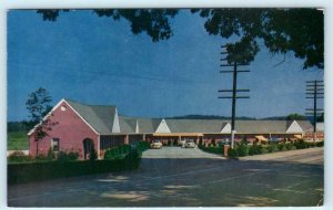 CAVE CITY, Kentucky KY ~ Roadside CAVE CITY MOTOR COURT ca 1950s   Postcard