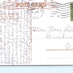 c1910 Los Angeles, CA Central park State Normal School Walkway Path Postcard A82