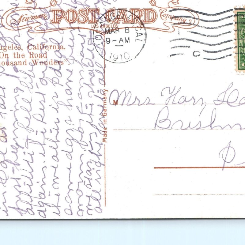 c1910 Los Angeles, CA Central park State Normal School Walkway Path Postcard A82