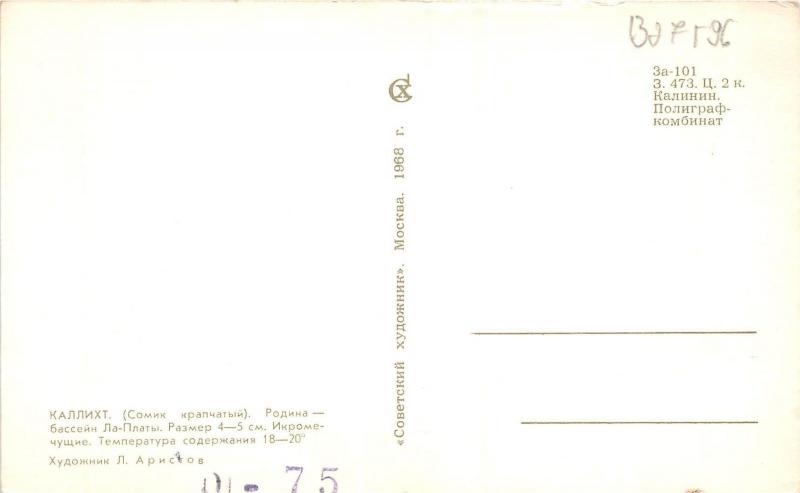 B27596 Poissons Fish Rusia