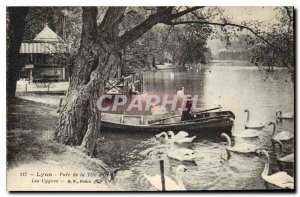 Old Postcard Lyon Park Tete d'Or Les Cygnes