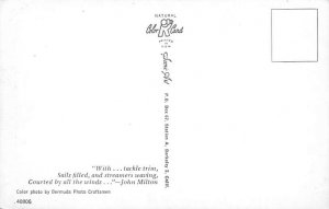 Sails Filled and Streamers Waving Bermuda Postcard