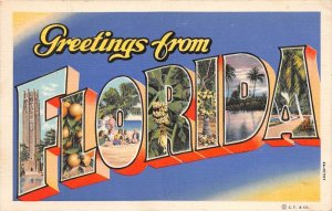 LARGE LETTER Greetings from Florida