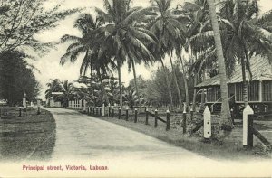 malay malaysia, LABUAN VICTORIA BORNEO, Principal Street, Palm (1910s) Postcard