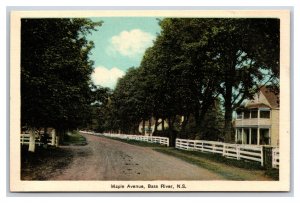 Maple Avenue Street View Bass River Nova Scotia NS Canada UNP WB Postcard S5