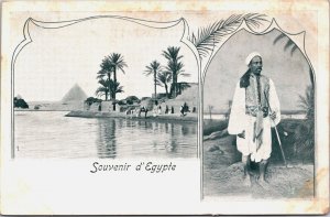 Egypt Souvenir d'Egypte Pyramids of Giza Cairo Vintage Postcard C104