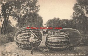 Exaggeration, George B Cornish, Watermelon Blockage in Oklahoma