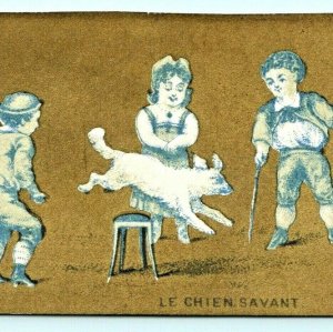 c1880s Philadelphia Dando Litho Le Chien Savant Learned Dog Trade Card Gold C12