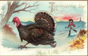 Thanksgiving Day Farm Turkey Hunt Vintage Postcard 1908