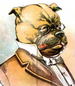 1890 The Parisian Folly & Spectacular Co People's Theatre Mayor Dog Glasses P154