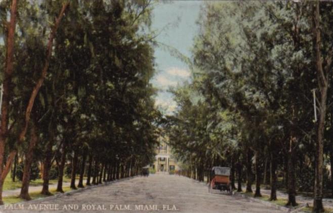 Palm Avenue and Royal Palm Hotel Miami Florida Curteich