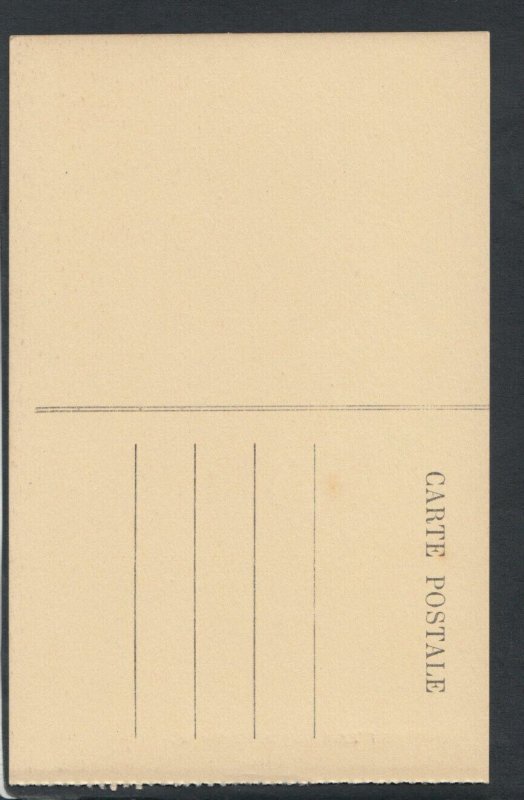 France Postcard - Cite De Carcassonne, L'Echauguette    RS15628