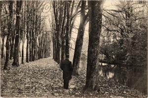 CPA LIGNY-en-BARROIS - Ligne des arbres sur les rives de la rivière (432842)