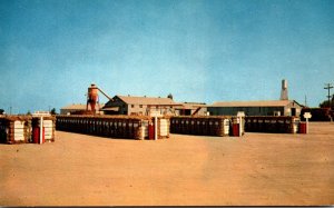 Typical Scene In Front Of A Western Cotton Gin