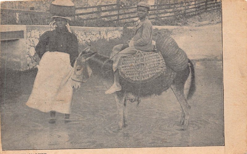 B078 South Africa Going to Market Natives Boy riding Donkey in Canal postcard