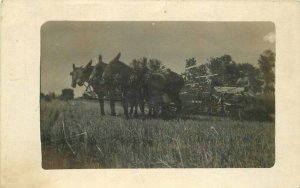 C-1910 Farm Agriculture Horse Drawn Harvester RPPC Photo Postcard 8446