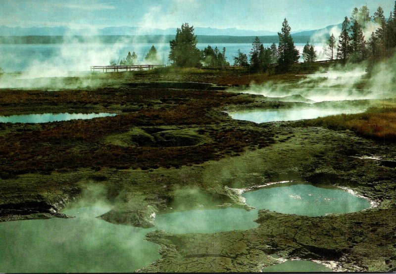 Yellowstone National Park Geyser Basin West Thumb