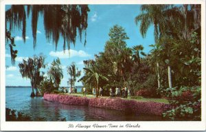 postcard  Cypress Gardens FL -  It's Always Flower Time in Florida