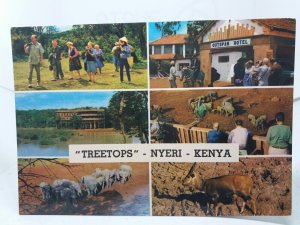 Treetops Safari Park Nyeri Kenya Vintage Multiview Postcard Outspan Hotel