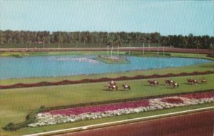 Florida Miami Hialeah Race Course Parading To The Post