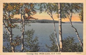 Greetings From Swan Lake, New York NY