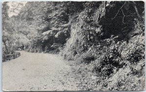 Postcard - Nature Trail Scenery Vintage Picture
