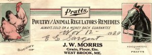 1920 WESTBROOK MAINE PRATTS POULTRY AND ANIMAL REMEDIES BILLHEAD INVOICE Z1159