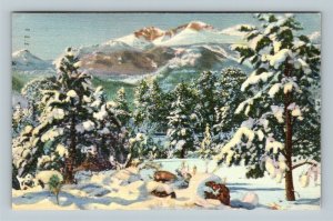 Rocky Mountain National Park CO, Longs Peak Winter Linen Colorado c1940 Postcard 
