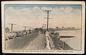 Vintage Postcard 1930's Watching Fish & Ducks, Pymatuning Lake, Andover, Ohio