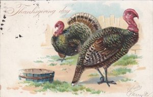Thanksgiving With Turkeys 1906 Tucks Signed Wealthy