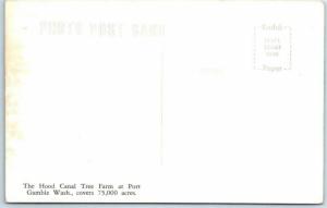 RPPC  PORT GAMBLE, Washington WA   HOOD CANAL TREE FARM  75,000 Acres  Postcard