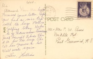 skunk postcard: Hello From One Stinker to Another