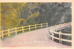 On the Road North Trinidad Postcard