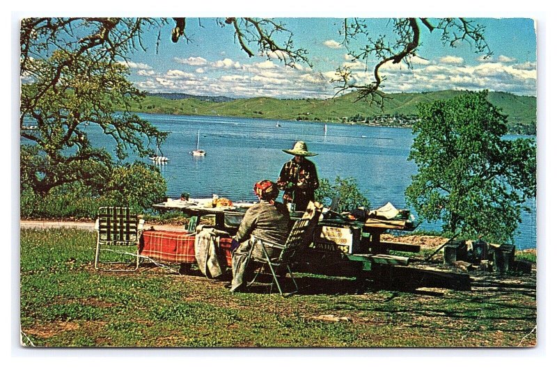 Millerton Lake In Fresno And Madera Counties Of California c1960 Postcard Picnic