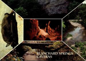 Arkansas Ozark Narional Forest Blanchard Springs Caverns