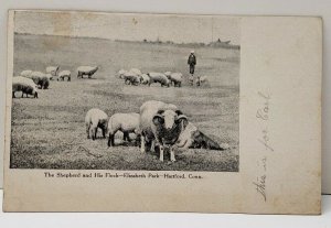 Hartford Connecticut The Shepherd & His Flock, Elizabeth Park Postcard B8